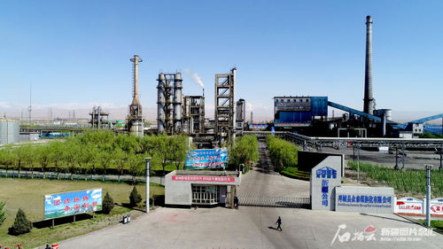 高質量發展調研行 走進阿克蘇 一起追 新 逐 綠 解鎖美麗阿克蘇的n種打開方式