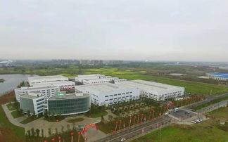 厲害了 三棵樹四川生態工業園將打造成世界智能制造 綠色生產標桿園區