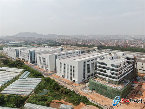 晉江產業集團 全力以赴精準招商 跑出發展 加速度