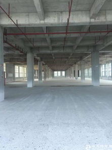 廣州黃埔四萬平食品工業(yè)園火爆招租 低門檻千元起享優(yōu)厚入駐條件